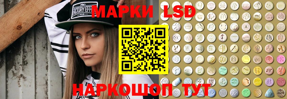 Новозыбков  LSD-25 экстази ecstasy  ОМГ ОМГ рабочий сайт  Лсд 25 экстази кислота  Вход с VPN 
